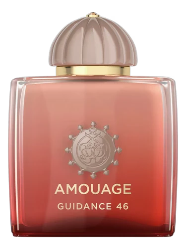 Guidance 46