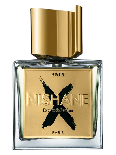 Ani X