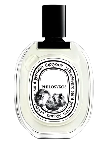 Philosykos
