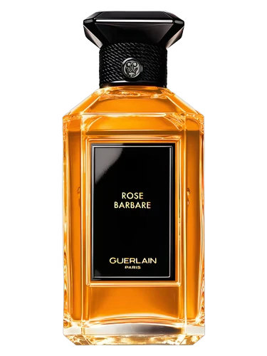 Rose Barbare