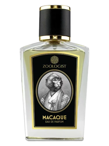 Macaque