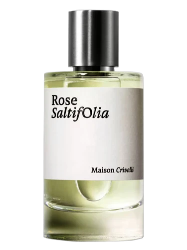Rose Saltifolia